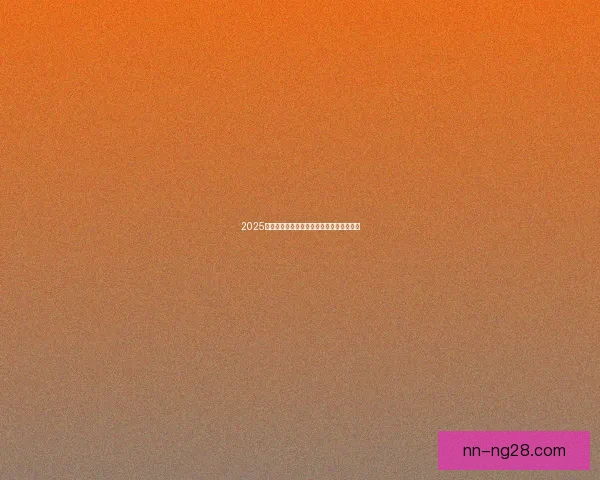 2025夏季转会窗口布伦特福德锋线新星动向分析 2025夏季转会窗口布伦特福德锋线新星动向分析